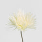 Mum Stem 71cm Cream 6 pcs