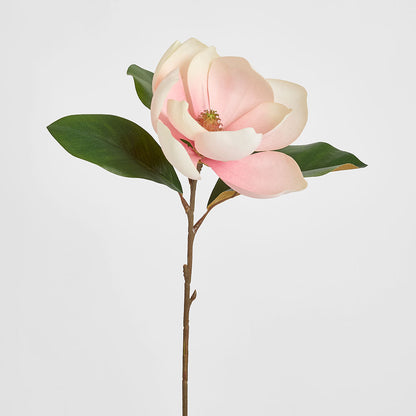 Soulangiana Magnolia Stem 60cm Pink 6 pcs
