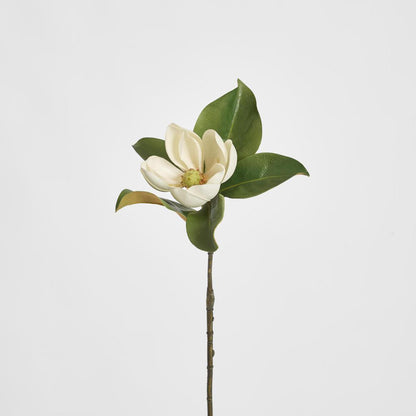Magnolia Short Stem 60cm White