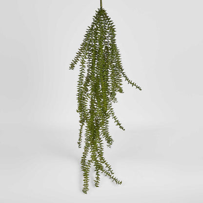 Clubmoss Hanging Vine 6 pcs