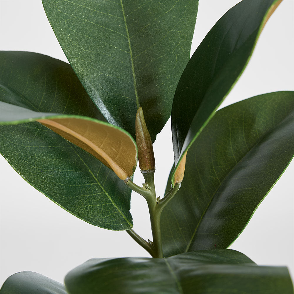 Magnolia Real Touch Leaf Spray 56cm