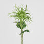 Spider Mum Floral Stem 71cm Green