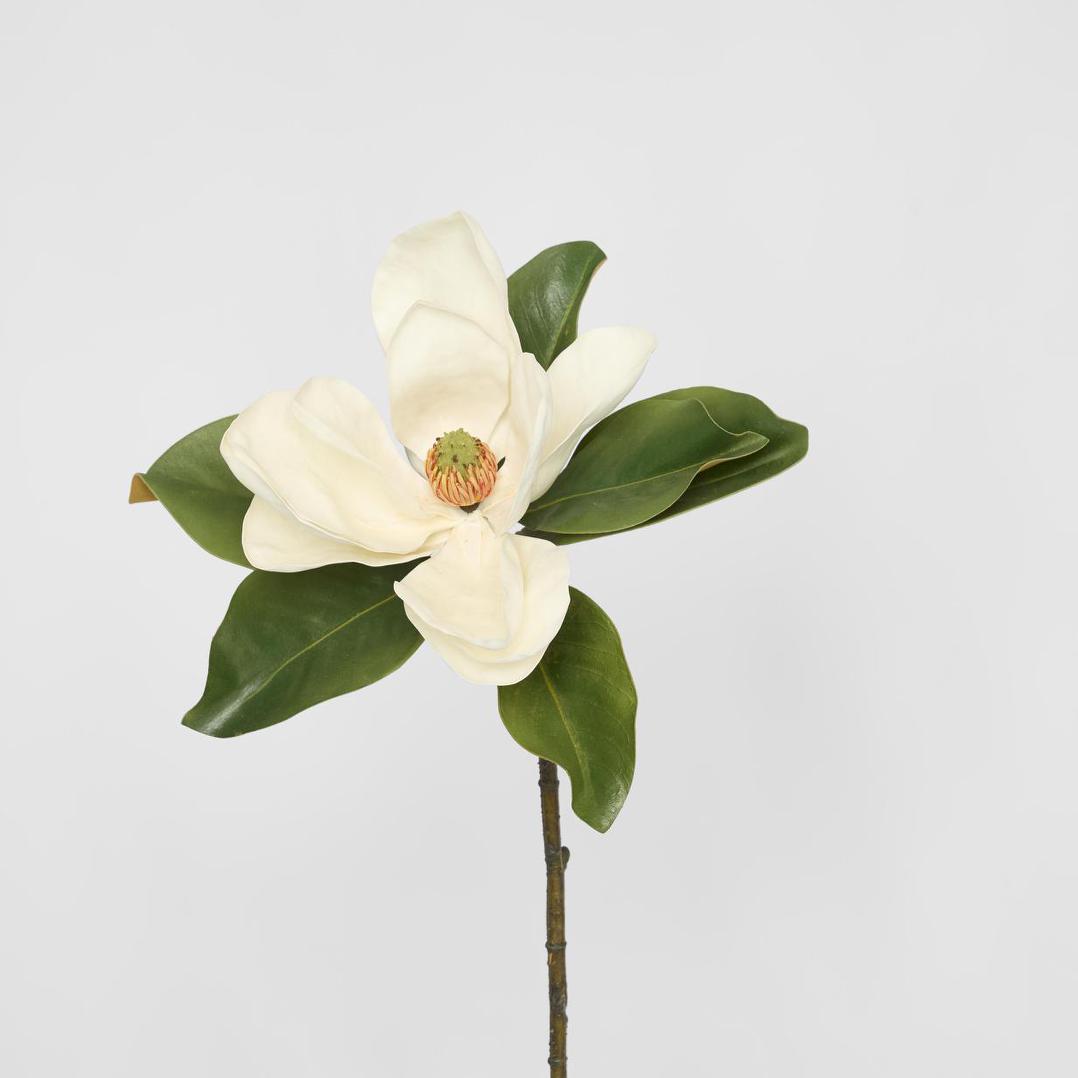 Magnolia 77cm White