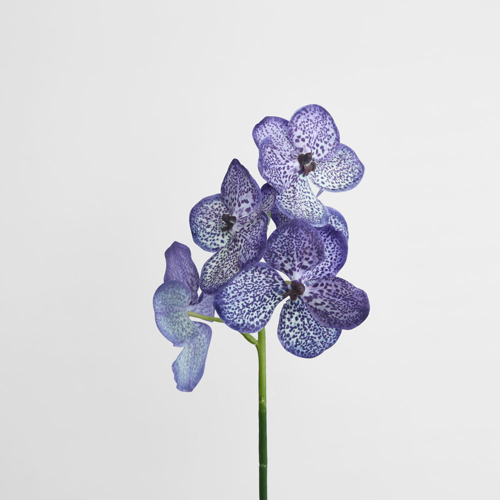 Vanda Orchid Stem 66cm Purple 3 pcs
