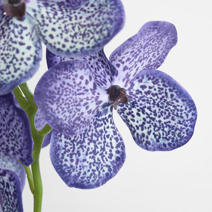 Vanda Orchid Stem 66cm Purple 3 pcs