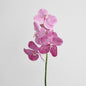 Vanda Orchid Stem 66cm Pink 3 pcs