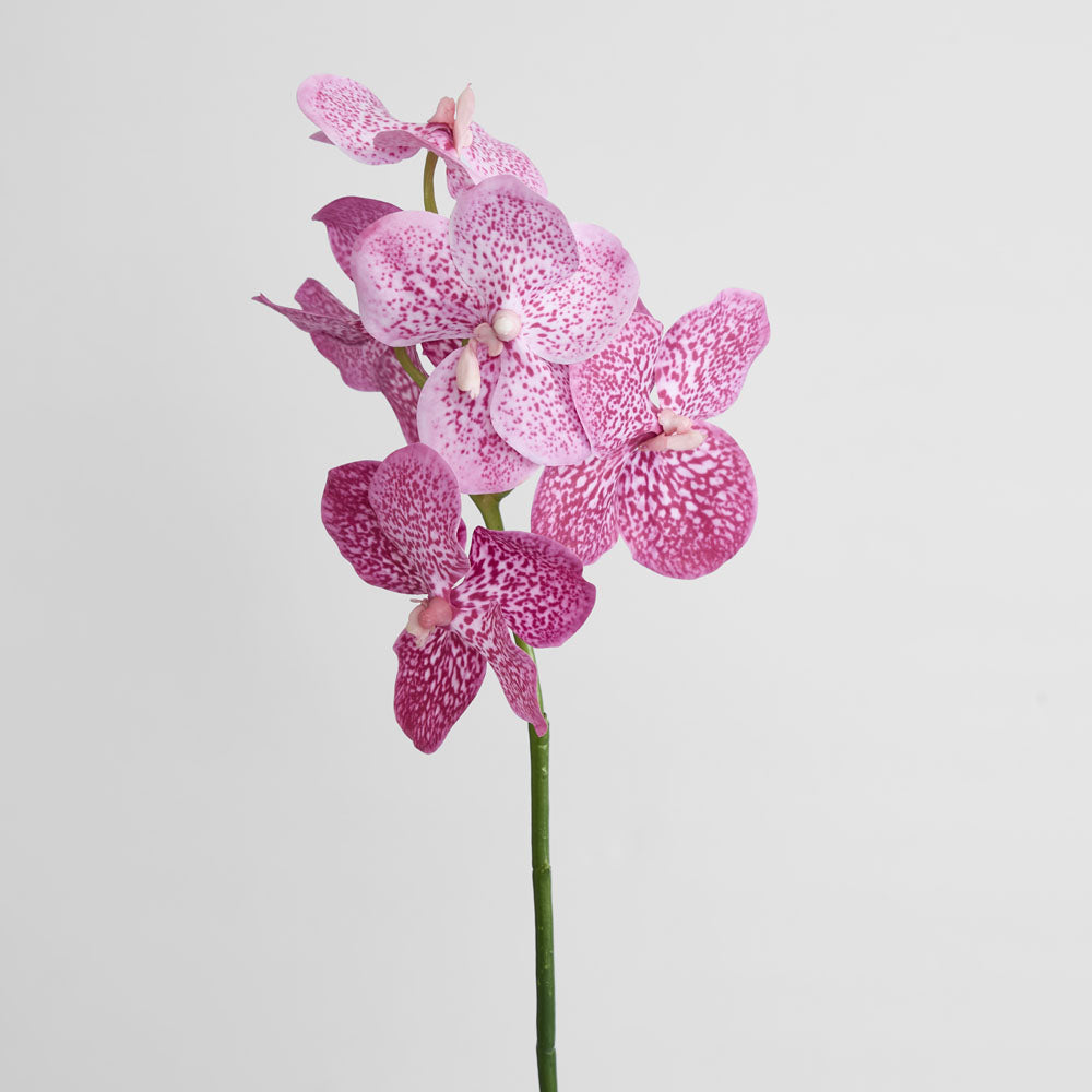 Vanda Orchid Stem 66cm Pink 3 pcs