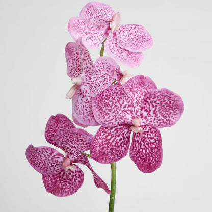 Vanda Orchid Stem 66cm Pink 3 pcs