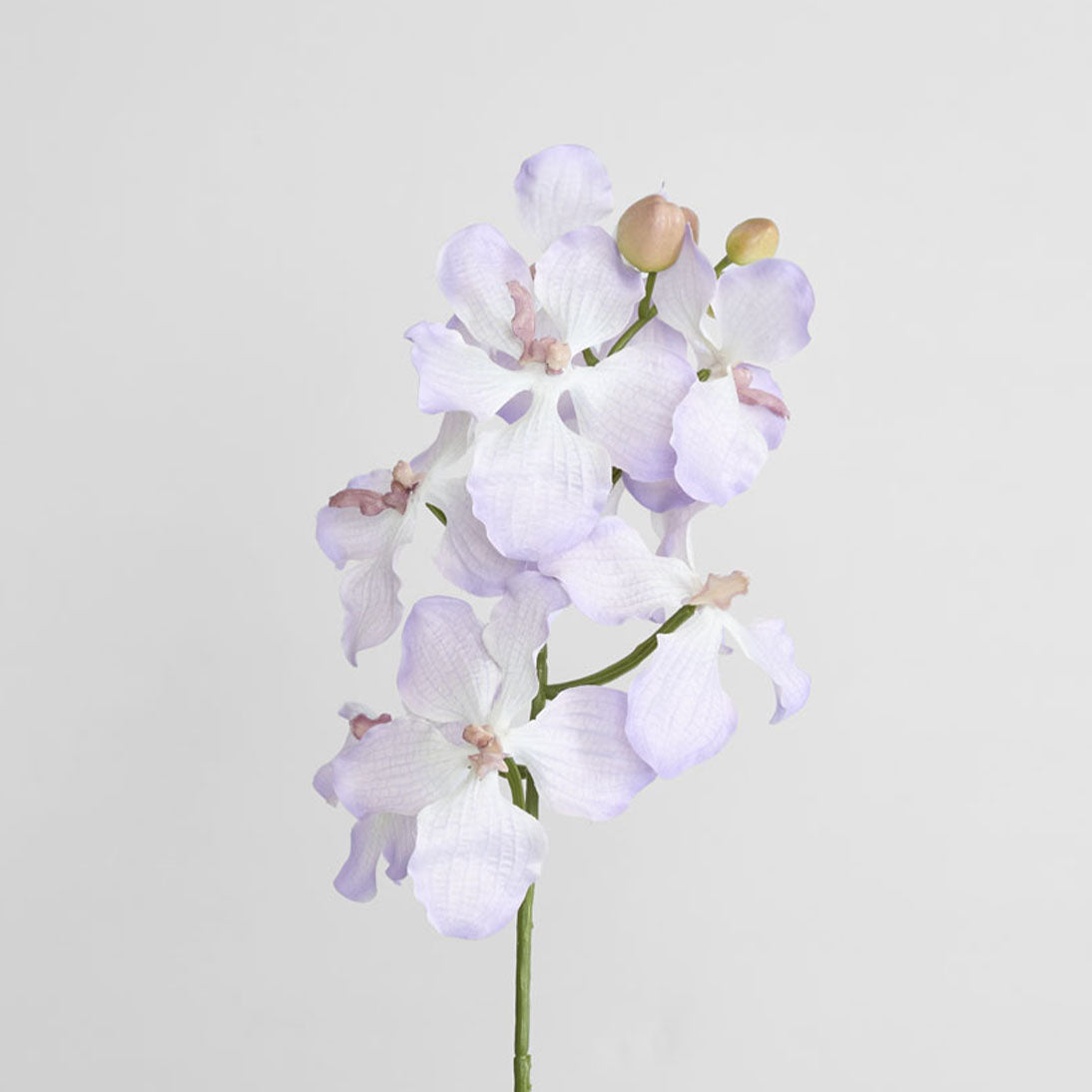 Dendrobium Orchid Spray Lilac 6 pcs