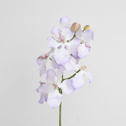 Dendrobium Orchid Spray Lilac 6 pcs