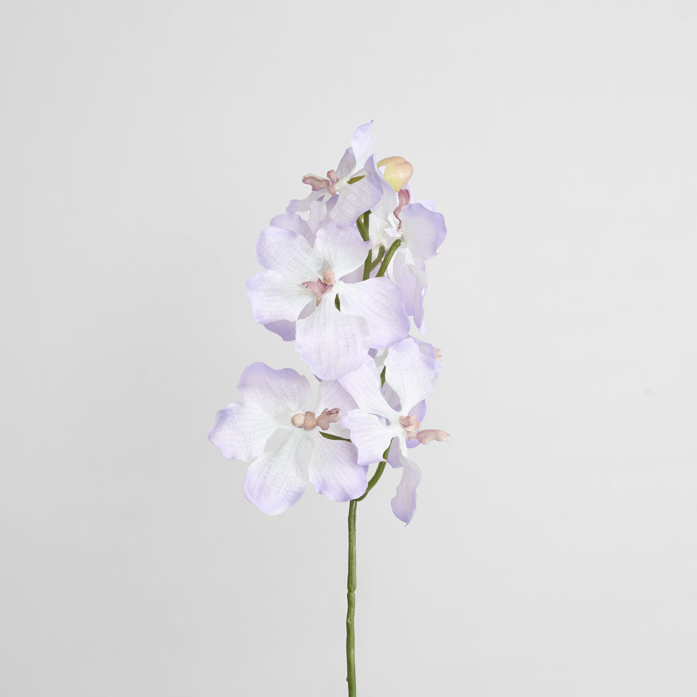 Dendrobium Orchid Spray Lilac 6 pcs