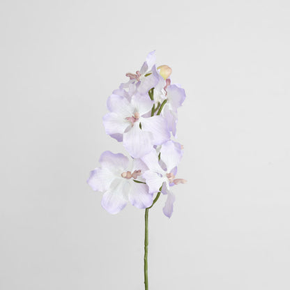 Dendrobium Orchid Spray Lilac 6 pcs