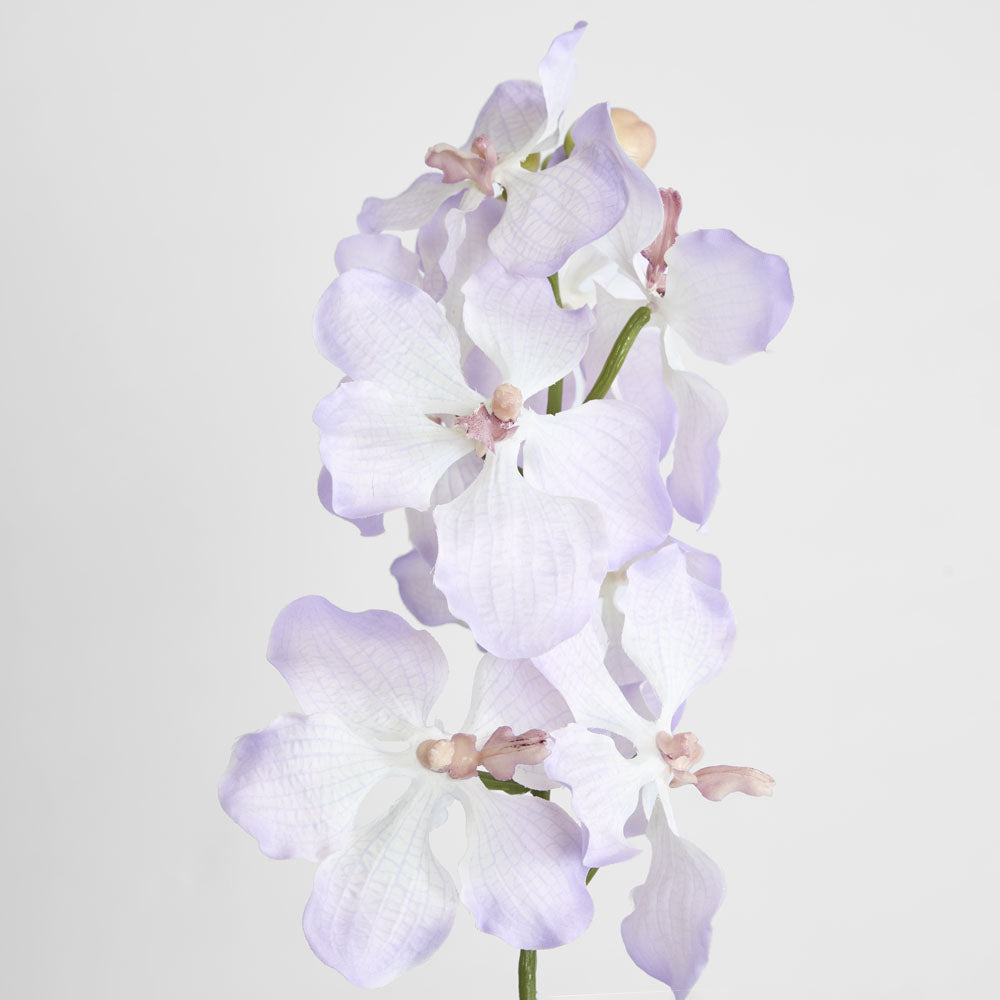 Dendrobium Orchid Spray Lilac 6 pcs