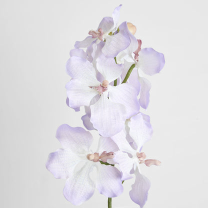 Dendrobium Orchid Spray Lilac 6 pcs
