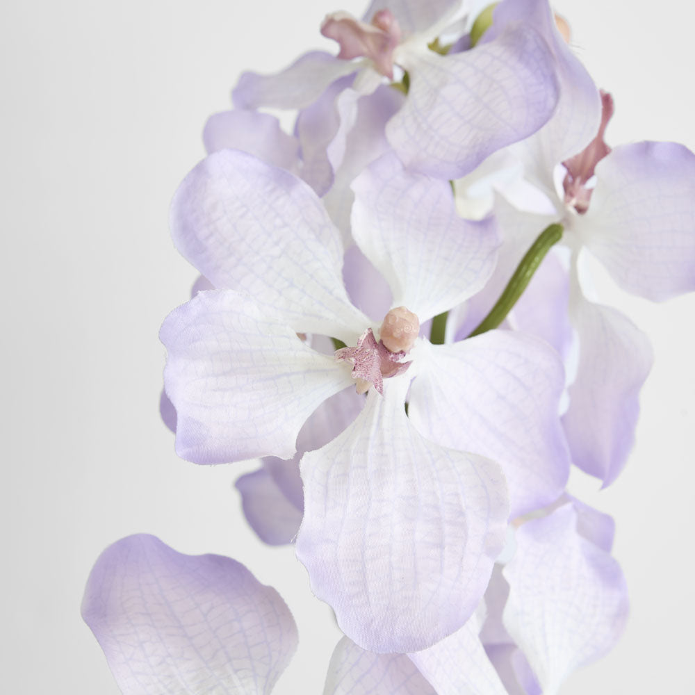 Dendrobium Orchid Spray Lilac 6 pcs