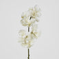 Real Touch phalaenopsis Orchid 78cm White