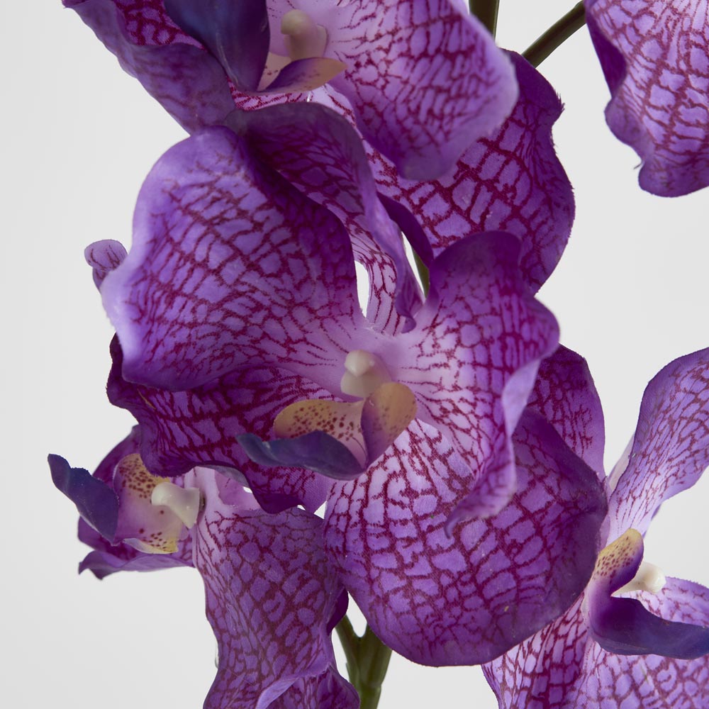 Real Touch Orchid 100cm Dark Purple