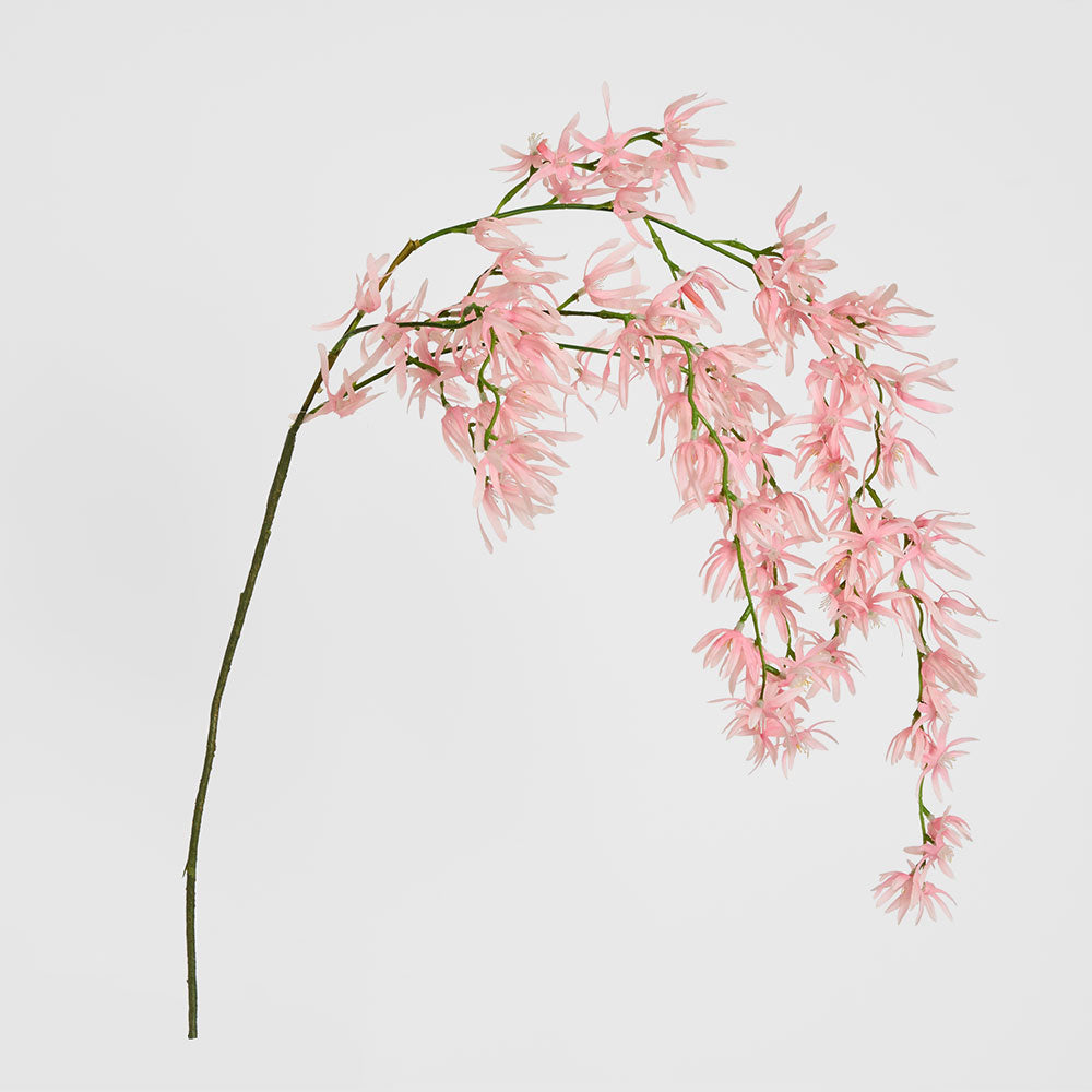 Orchid Spider Hanging 1.1m Pink