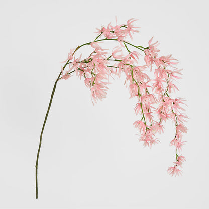 Orchid Spider Hanging 1.1m Pink