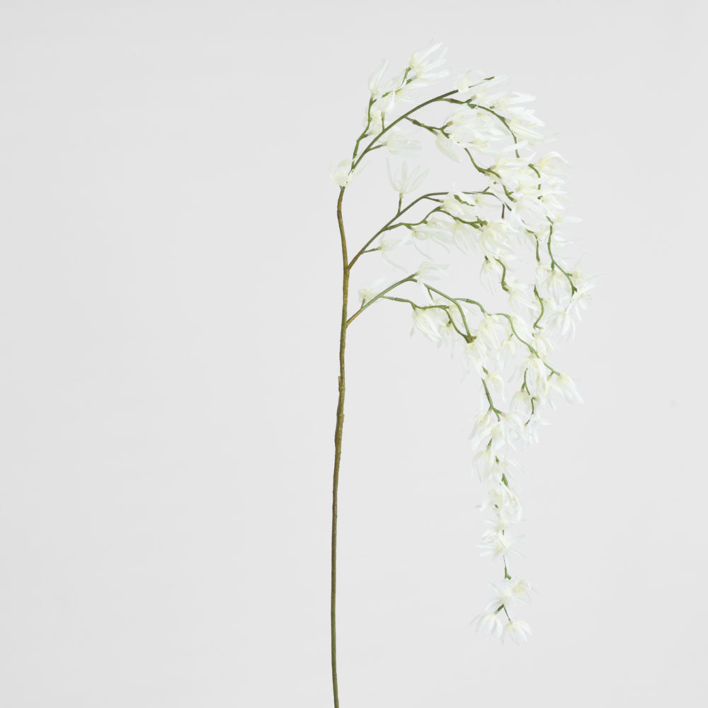 Orchid Spider Hanging 1.1m White 6 pcs
