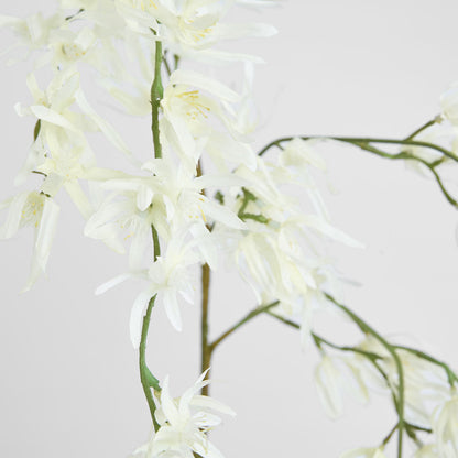 Orchid Spider Hanging 1.1m White 6 pcs