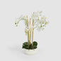 Orchid Potted Real Touch 71cm White