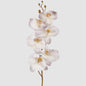 Orchid Stem 80cm Lavender 6 pcs