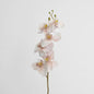 Orchid Single Phalaenopsis Stem 80cm Sunset 6 pcs