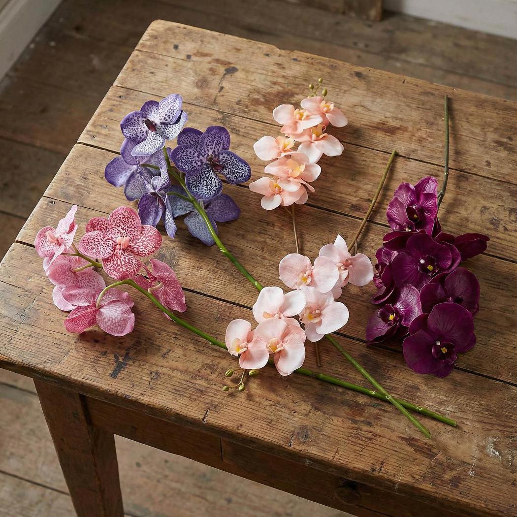 Orchid Single Phalaenopsis Stem 80cm Sunset 6 pcs