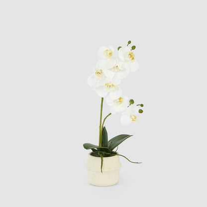 Real Touch Phalaenopsis Arrangement in Zara Pot 46cm