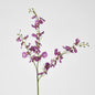 Lilly Dancing Orchid 98cm Pink