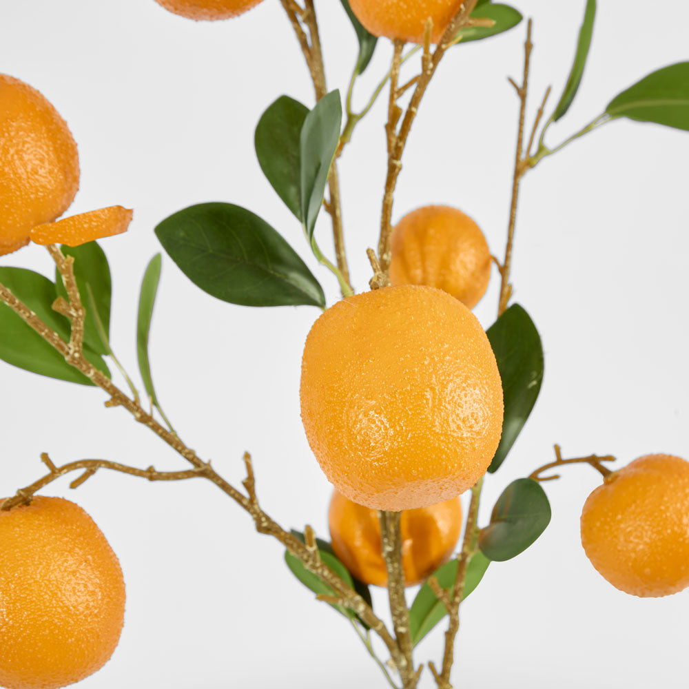 Orange Fruit Stem