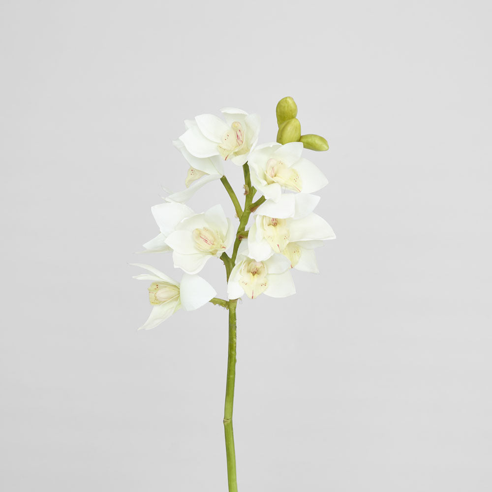 Orchid Cymbidium Spray 47cm White