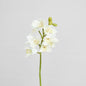 Orchid Cymbidium Spray 47cm White