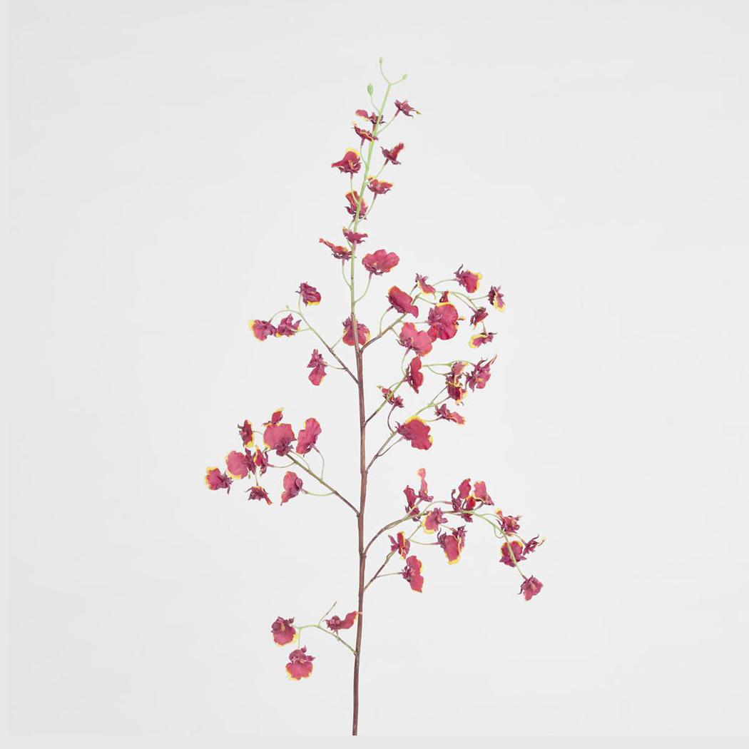 Dancing Orchid 93cm Burgundy