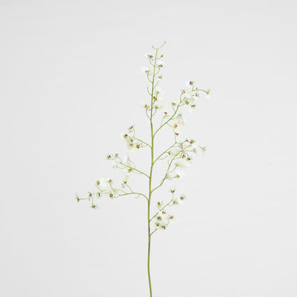 Dancing Orchid 93cm White