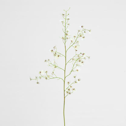 Dancing Orchid 93cm White