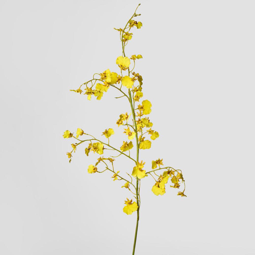 Dancing Orchid 93cm Yellow