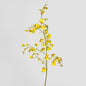 Dancing Orchid 93cm Yellow