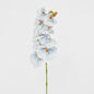 Ripple Phalaenopsis Stem Blue