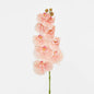 Ripple Phalaenopsis Stem Peach