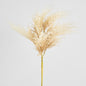 Natural Pampas Spray Stem with Leaves 6 pcs