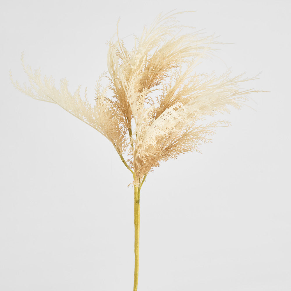 Natural Pampas Spray Stem with Leaves 6 pcs