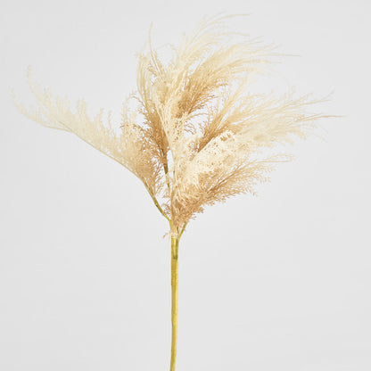 Natural Pampas Spray Stem with Leaves 6 pcs