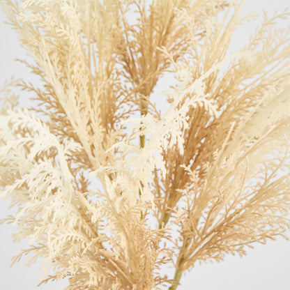 Natural Pampas Spray Stem with Leaves 6 pcs