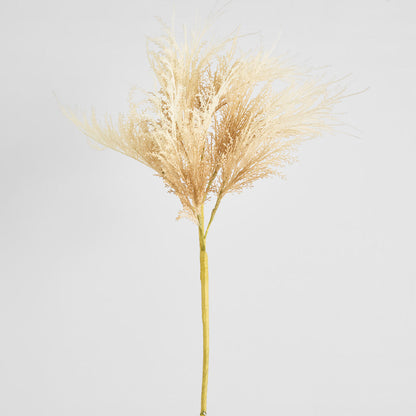 Natural Pampas Spray Stem with Leaves 6 pcs