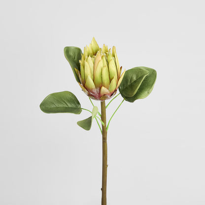 King Protea 60cm Green