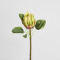 King Protea 60cm Green