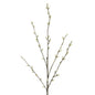Pussy Willow twig Spray Cream