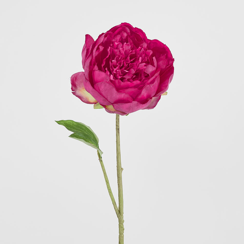 Peony Spray 60cm Fuchsia 6 pcs
